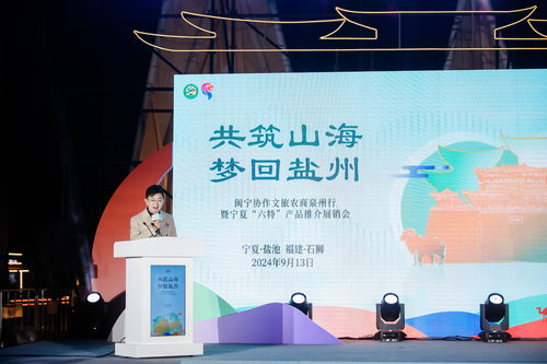 丝路情·山海缘——闽宁文化艺术交流及旅游资源推介活动策划方案